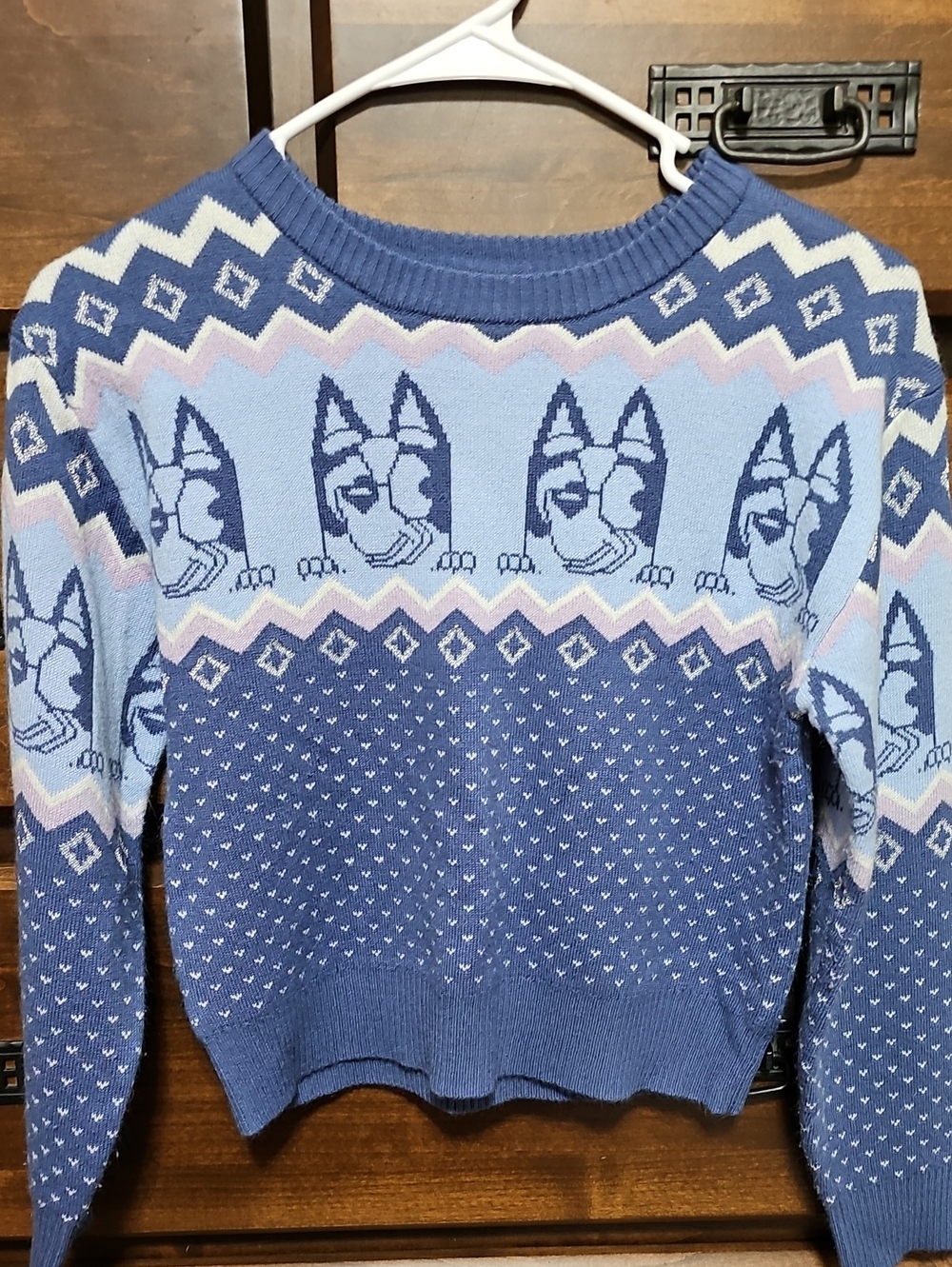 Bluey Sweater With Sparkles